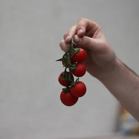 아파트 Balla Mama, Hajdúszoboszló